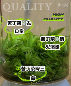 家里阳光不足怎么养花，选对植物种类，掌握养护技巧