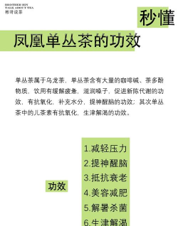 家里阳光不足怎么养花，选对植物种类，掌握养护技巧