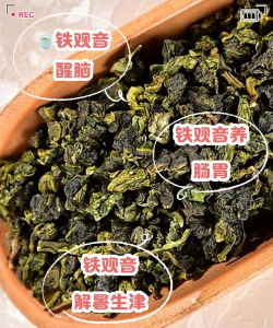 家里阳光不足怎么养花，选对植物种类，掌握养护技巧