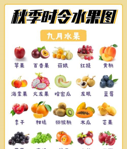 家里阳光不足怎么养花，选对植物种类，掌握养护技巧