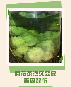 家里阳光不足怎么养花，选对植物种类，掌握养护技巧