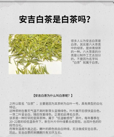 家里阳光不足怎么养花，选对植物种类，掌握养护技巧