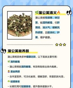 家里阳光不足怎么养花，选对植物种类，掌握养护技巧