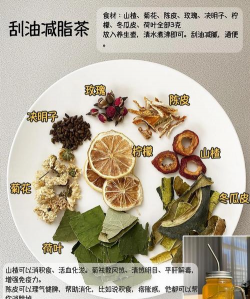 家里阳光不足怎么养花，选对植物种类，掌握养护技巧