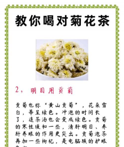 家里阳光不足怎么养花，选对植物种类，掌握养护技巧