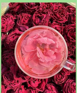 家里阳光不足怎么养花，选对植物种类，掌握养护技巧