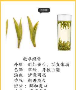 家里阳光不足怎么养花，选对植物种类，掌握养护技巧