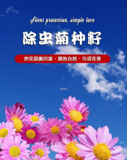 家里阳光不足怎么养花，选对植物种类，掌握养护技巧