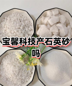 家里阳光不足怎么养花，选对植物种类，掌握养护技巧