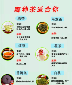 家里阳光不足怎么养花，选对植物种类，掌握养护技巧