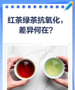 家里阳光不足怎么养花，选对植物种类，掌握养护技巧