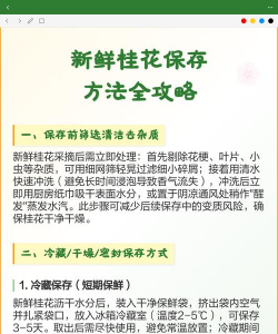 家里阳光不足怎么养花，选对植物种类，掌握养护技巧