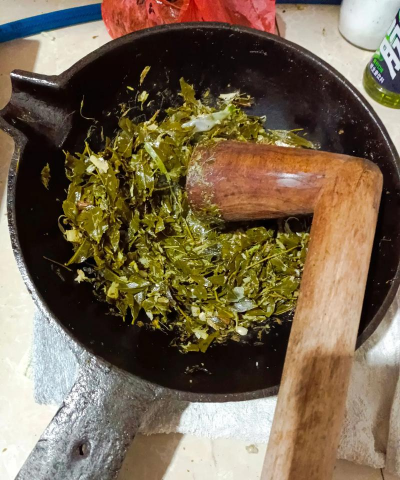 家里阳光不足怎么养花，选对植物种类，掌握养护技巧