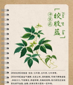 家里阳光不足怎么养花，选对植物种类，掌握养护技巧