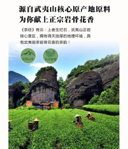 家里阳光不足怎么养花，选对植物种类，掌握养护技巧