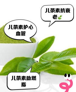 家里阳光不足怎么养花，选对植物种类，掌握养护技巧