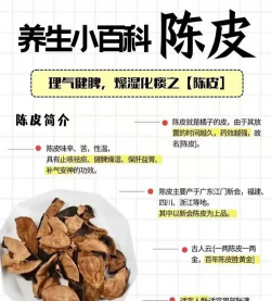 家里阳光不足怎么养花，选对植物种类，掌握养护技巧