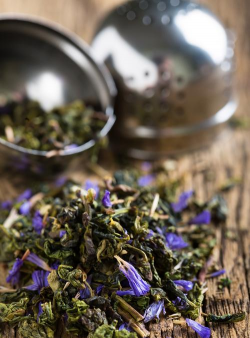 家里阳光不足怎么养花，选对植物种类，掌握养护技巧