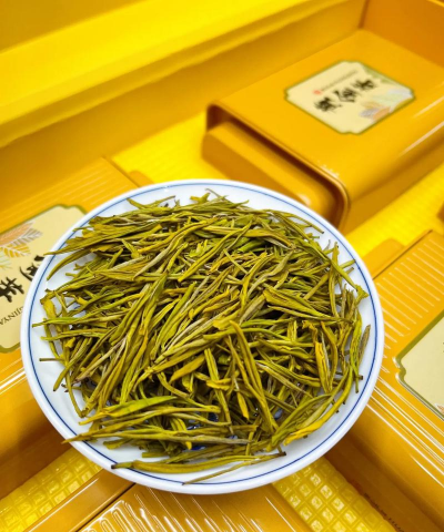 家里阳光不足怎么养花，选对植物种类，掌握养护技巧