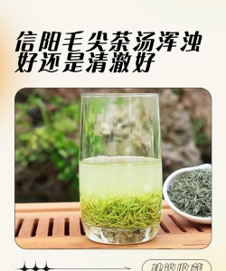 家里阳光不足怎么养花，选对植物种类，掌握养护技巧