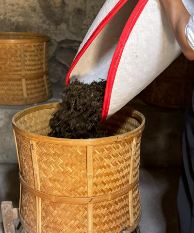 家里阳光不足怎么养花，选对植物种类，掌握养护技巧