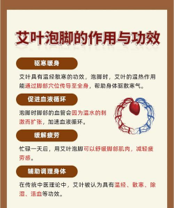 家里阳光不足怎么养花，选对植物种类，掌握养护技巧