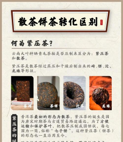 家里阳光不足怎么养花，选对植物种类，掌握养护技巧