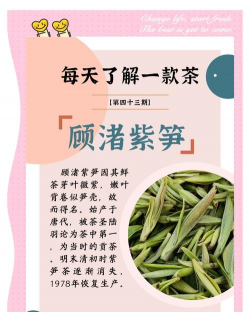 家里阳光不足怎么养花，选对植物种类，掌握养护技巧