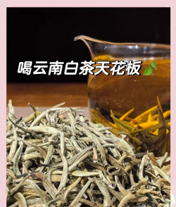 家里阳光不足怎么养花，选对植物种类，掌握养护技巧