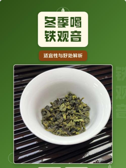 家里阳光不足怎么养花，选对植物种类，掌握养护技巧