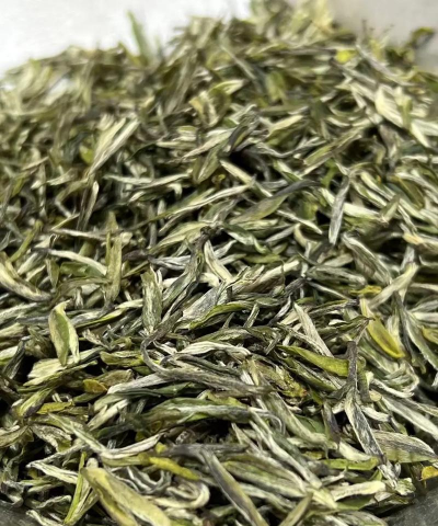 家里阳光不足怎么养花，选对植物种类，掌握养护技巧