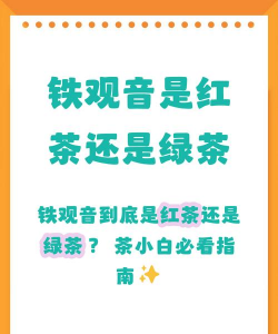 家里阳光不足怎么养花，选对植物种类，掌握养护技巧