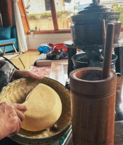 家里阳光不足怎么养花，选对植物种类，掌握养护技巧