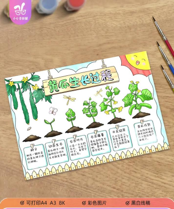 小众送妈妈的花有哪些花