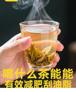 家里阳光不足怎么养花，选对植物种类，掌握养护技巧