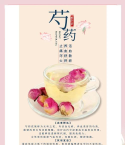 家里阳光不足怎么养花，选对植物种类，掌握养护技巧