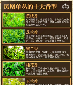 家里阳光不足怎么养花，选对植物种类，掌握养护技巧