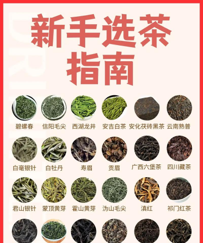家里阳光不足怎么养花，选对植物种类，掌握养护技巧
