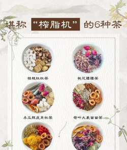 家里阳光不足怎么养花，选对植物种类，掌握养护技巧