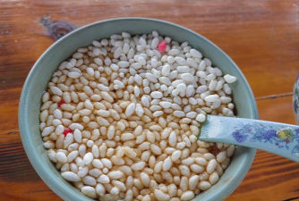 家里阳光不足怎么养花，选对植物种类，掌握养护技巧