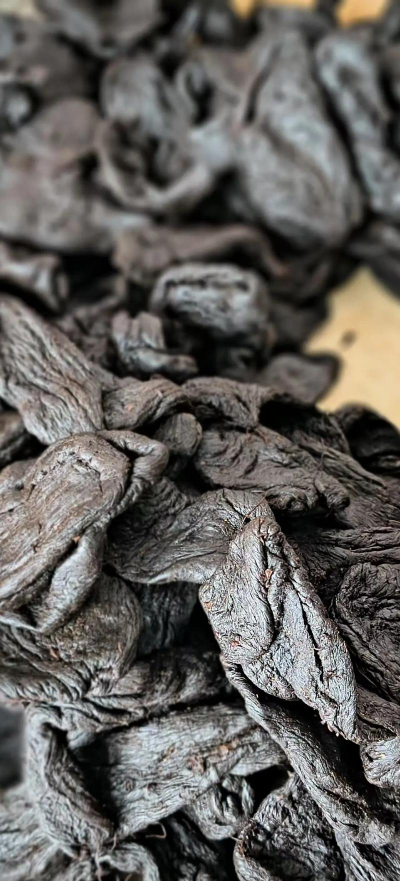 家里阳光不足怎么养花，选对植物种类，掌握养护技巧