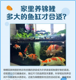 家里阳光不足怎么养花，选对植物种类，掌握养护技巧