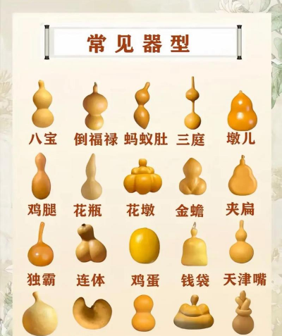 家里阳光不足怎么养花，选对植物种类，掌握养护技巧