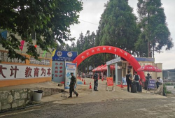 家里阳光不足怎么养花，选对植物种类，掌握养护技巧