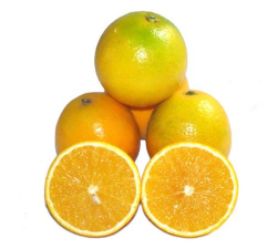 家里阳光不足怎么养花，选对植物种类，掌握养护技巧