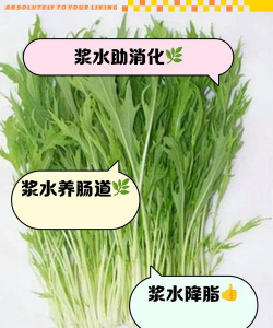 家里阳光不足怎么养花，选对植物种类，掌握养护技巧