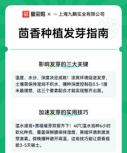 家里阳光不足怎么养花，选对植物种类，掌握养护技巧