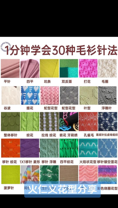 家里阳光不足怎么养花，选对植物种类，掌握养护技巧