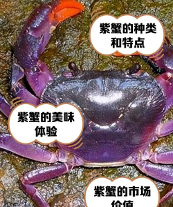 家里阳光不足怎么养花，选对植物种类，掌握养护技巧