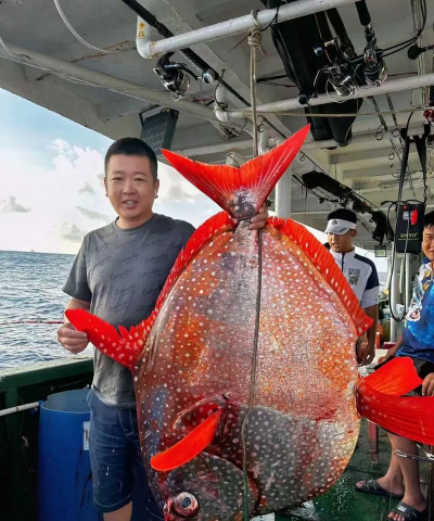 家里阳光不足怎么养花，选对植物种类，掌握养护技巧